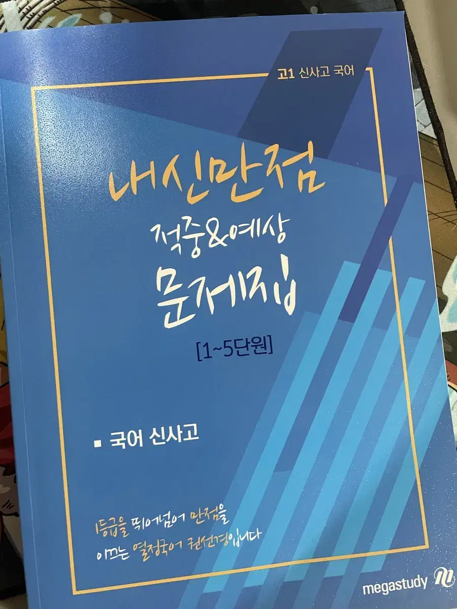 메가스터디 고1 국어 신사고 내신만점